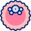 Blastocyst Culture and Transfer in Udaipur India