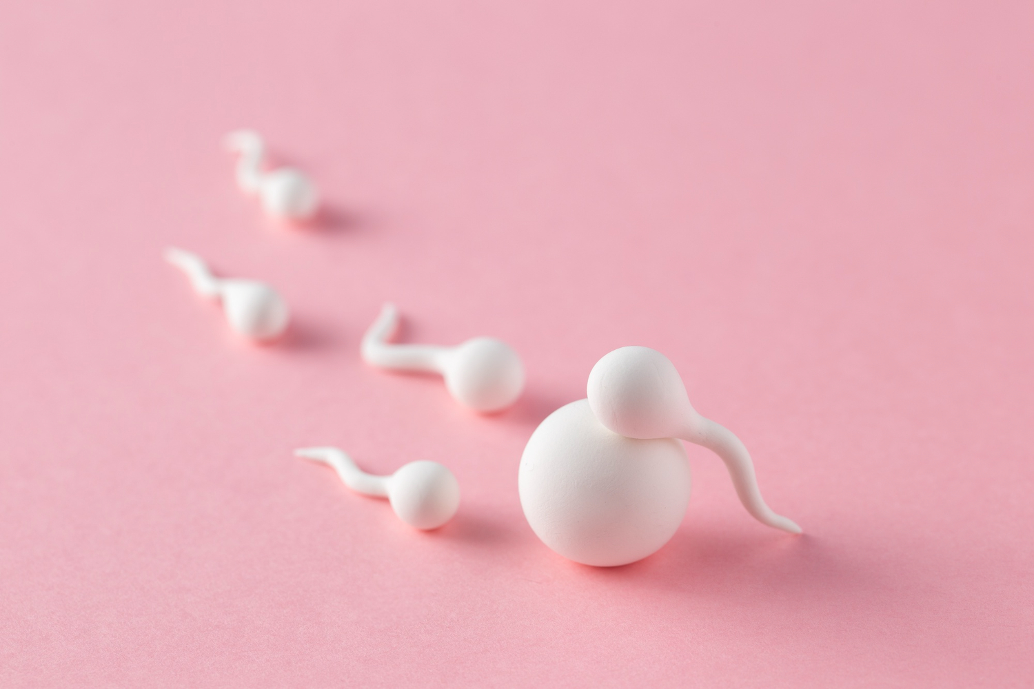 IVF Hospital in udaipur india