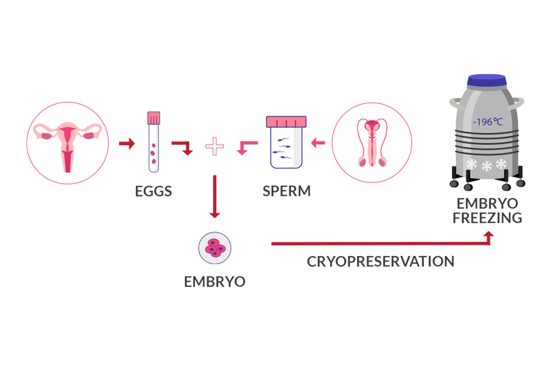 Secure Your Future Parenthood | Best Fertility Preservation & Freezing ...