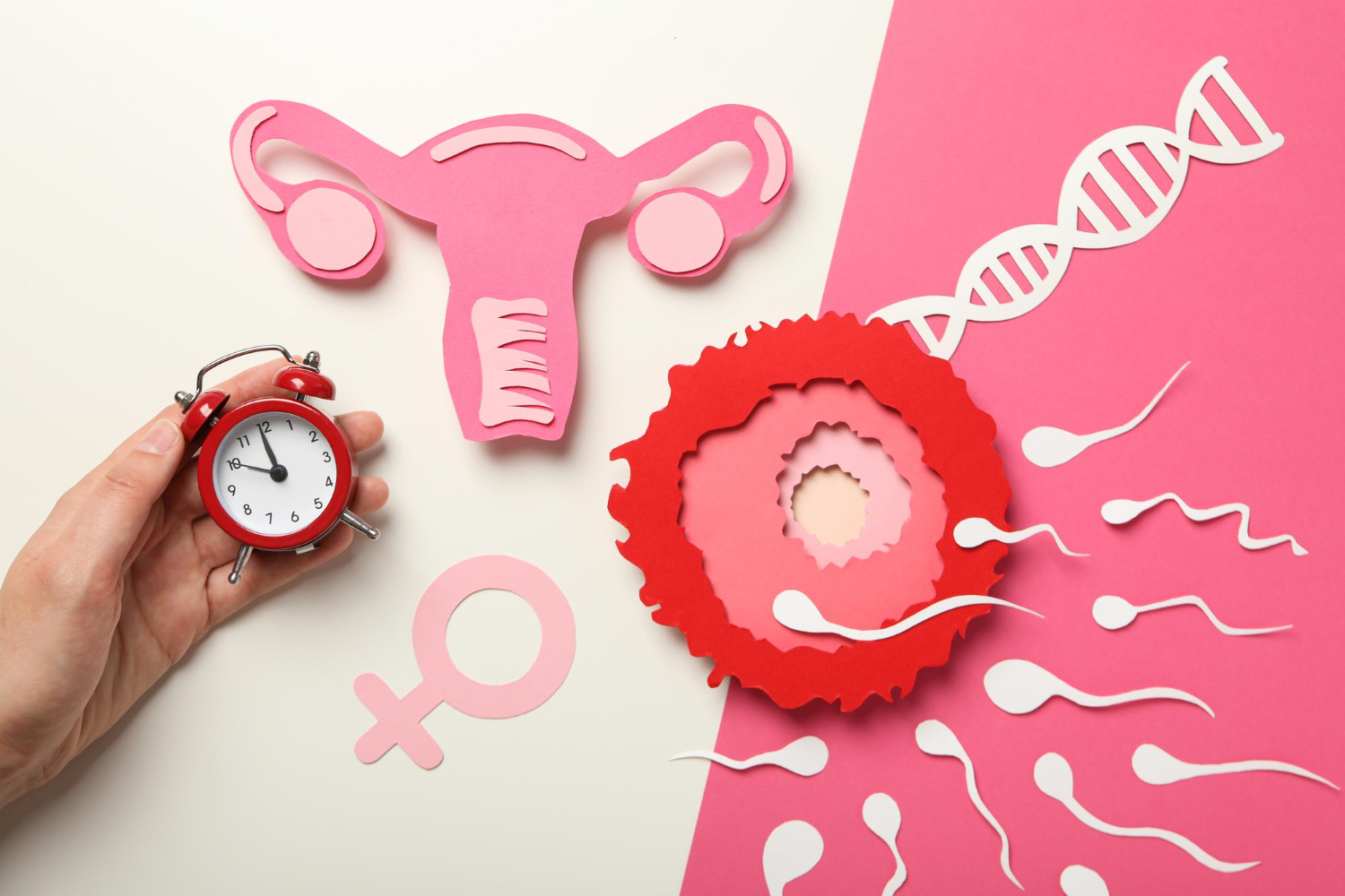 Adenomyosis Treatment