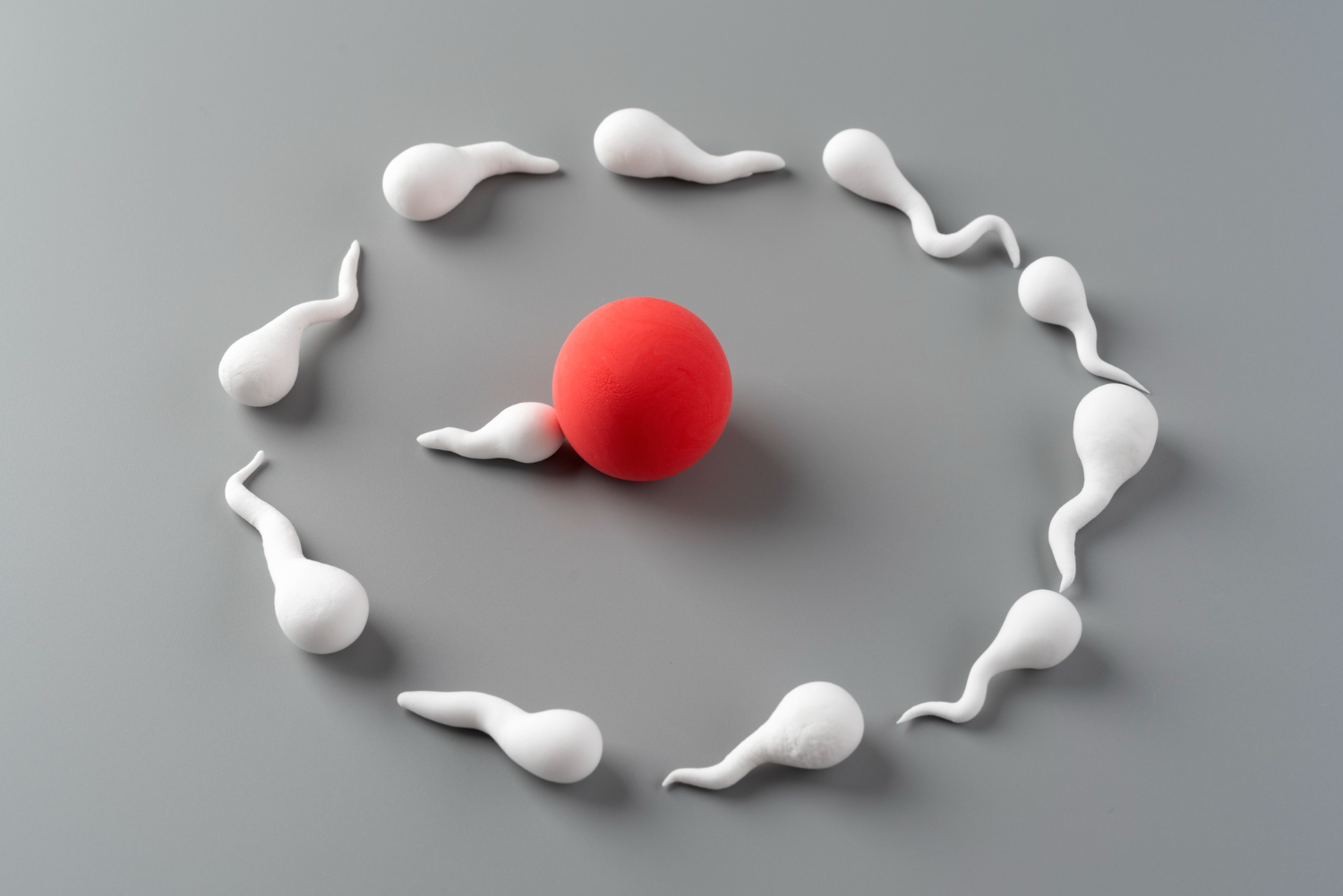 Test For Male Infertility