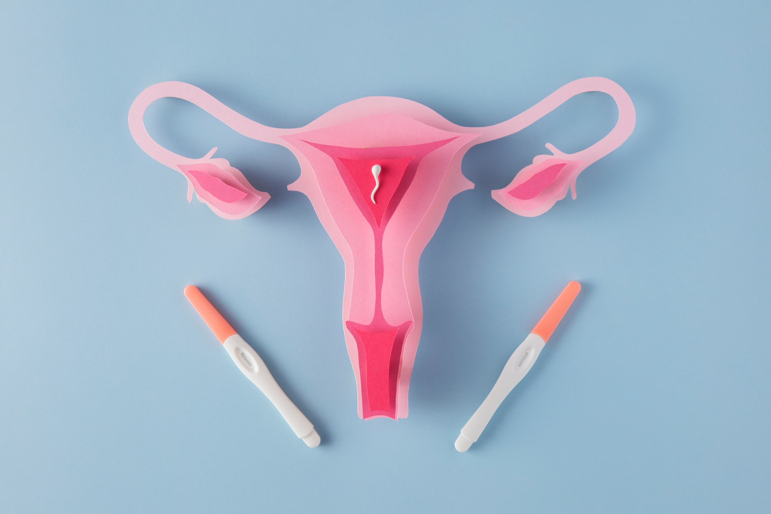 Endometriosis treatment cost in udaipur india