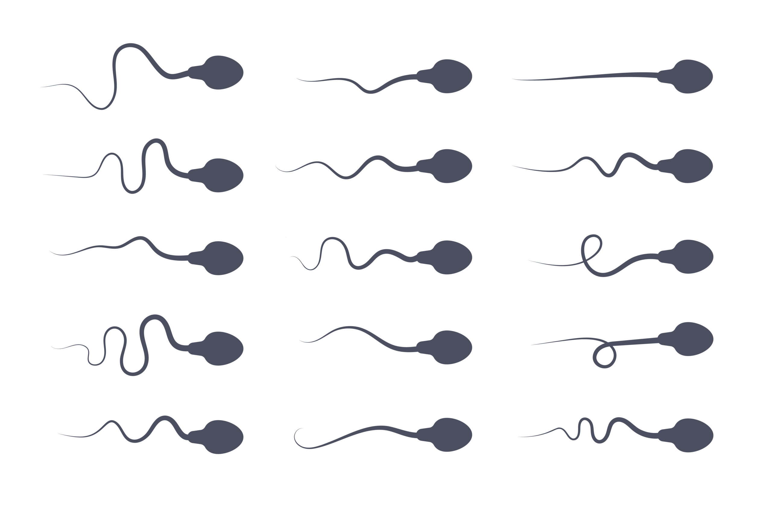 IVF Cost In Udaipur India