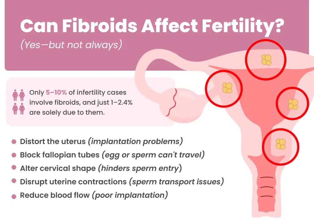 Uterine Pathologies Treatment in india