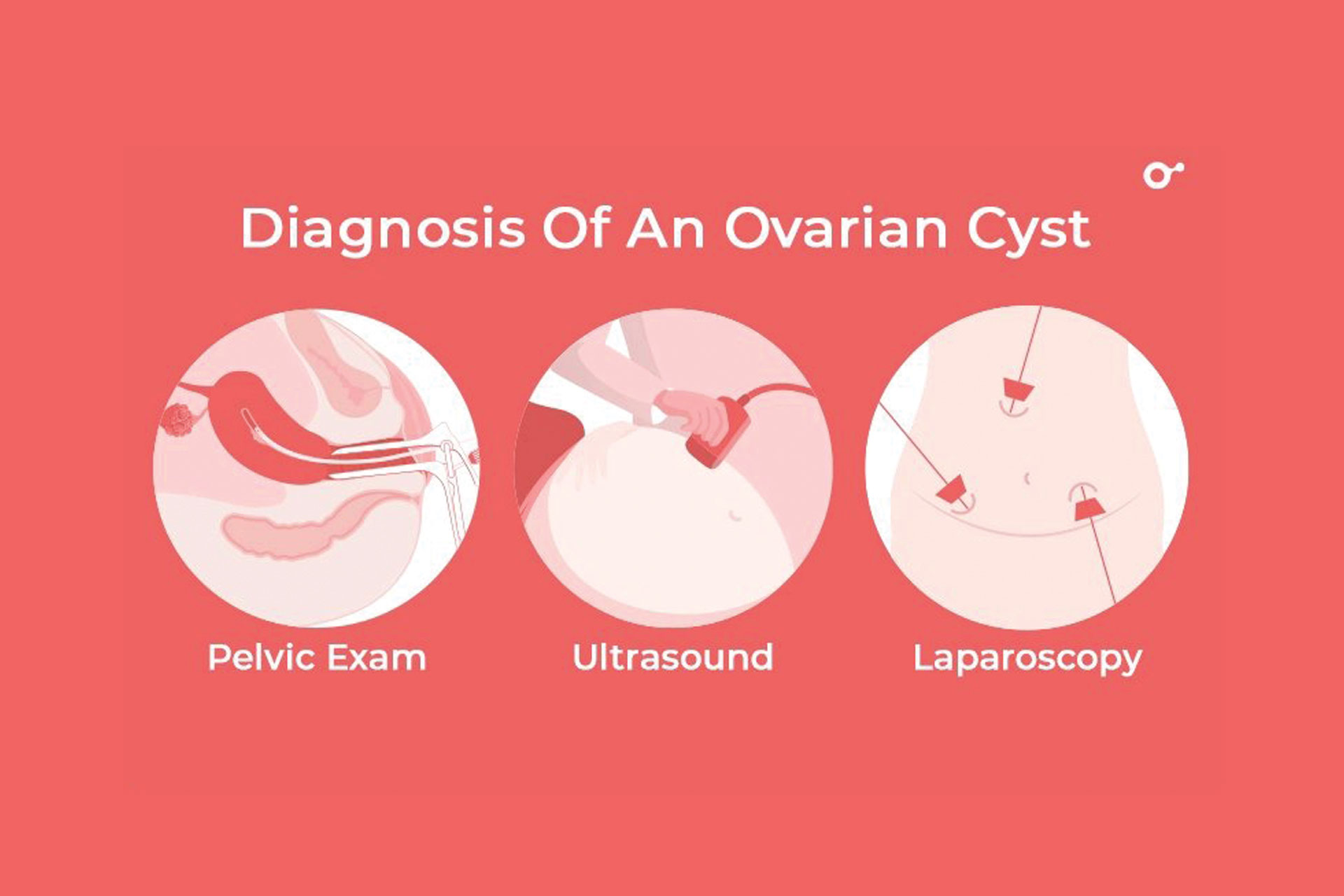 Diagnostic Services in Udaipur