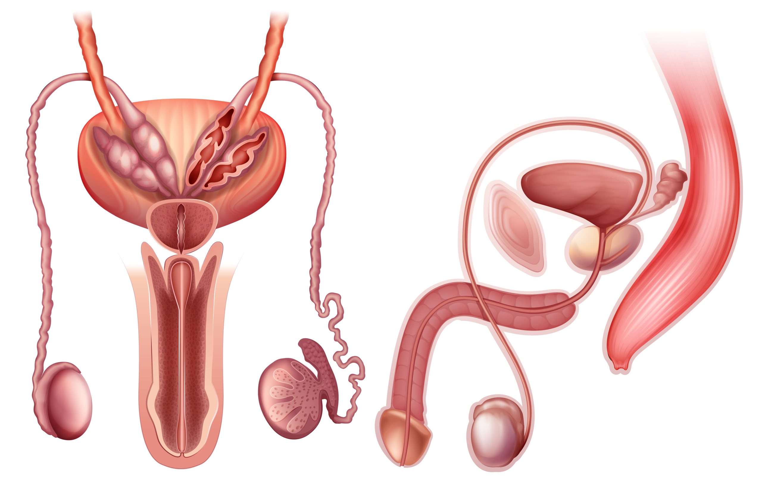Best fertility Treatment in Udaipur