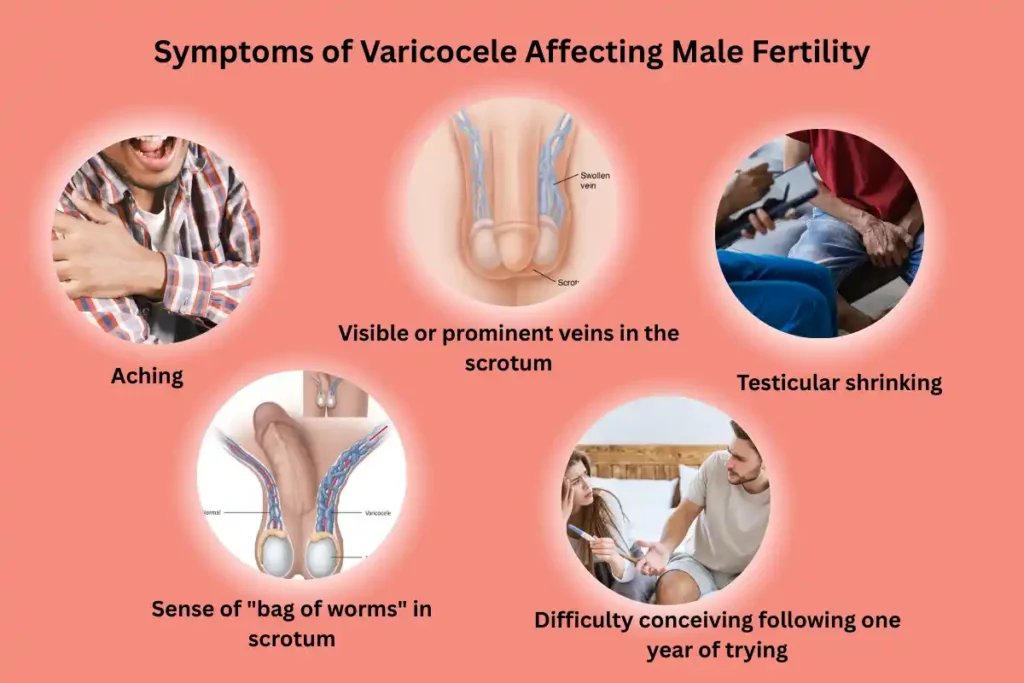 Test For Male Infertility