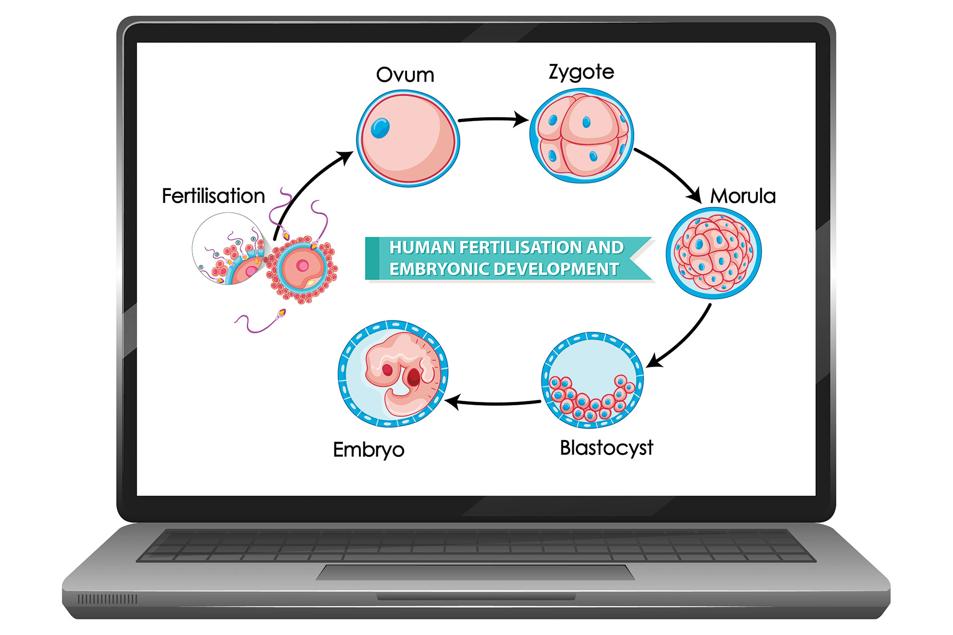 best ivf treatment