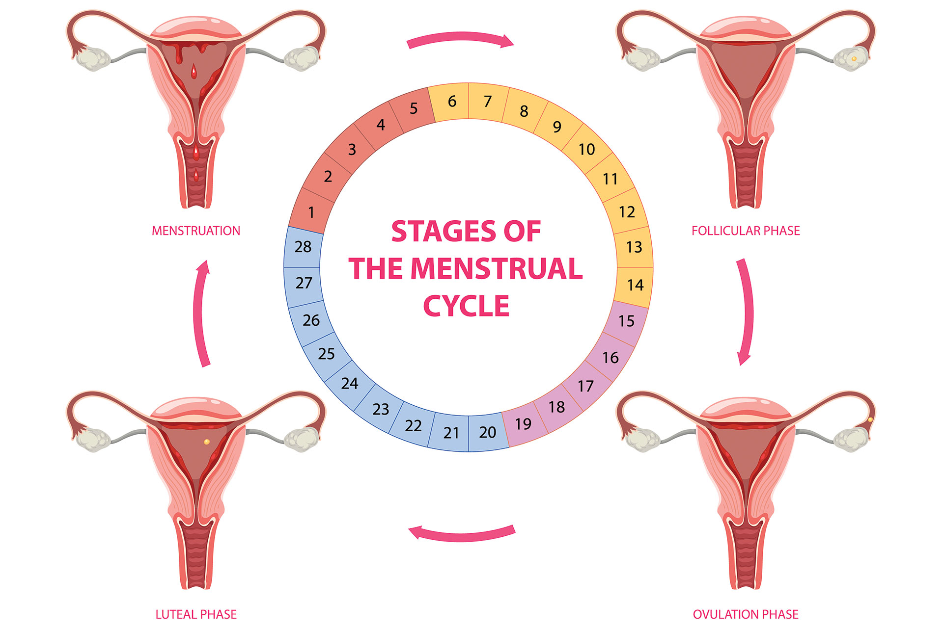 Gynecologist doctor in Udaipur India