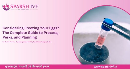 Egg Freezing Process