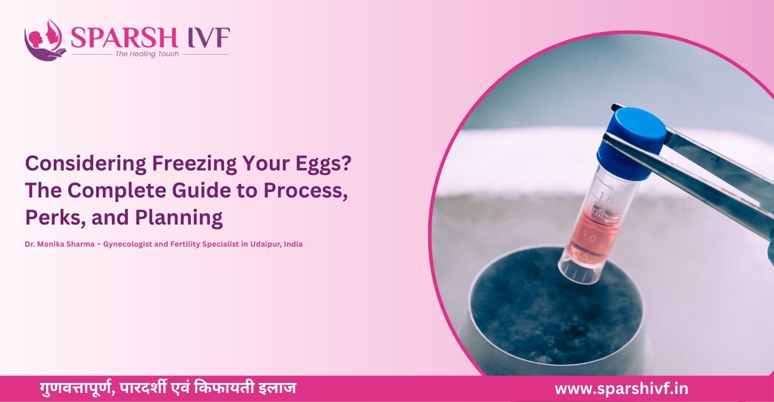 Egg Freezing Process