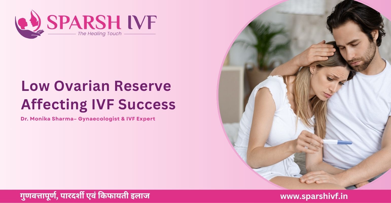 Low Ovarian Reserve IVF Treatment, Low AMH Treatment