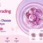 embryo grading in ivf 85x85