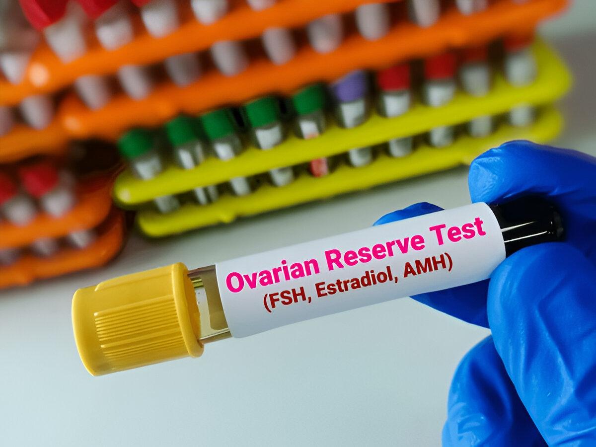 Ovarian reserve testing and AMH assessment in Udaipur