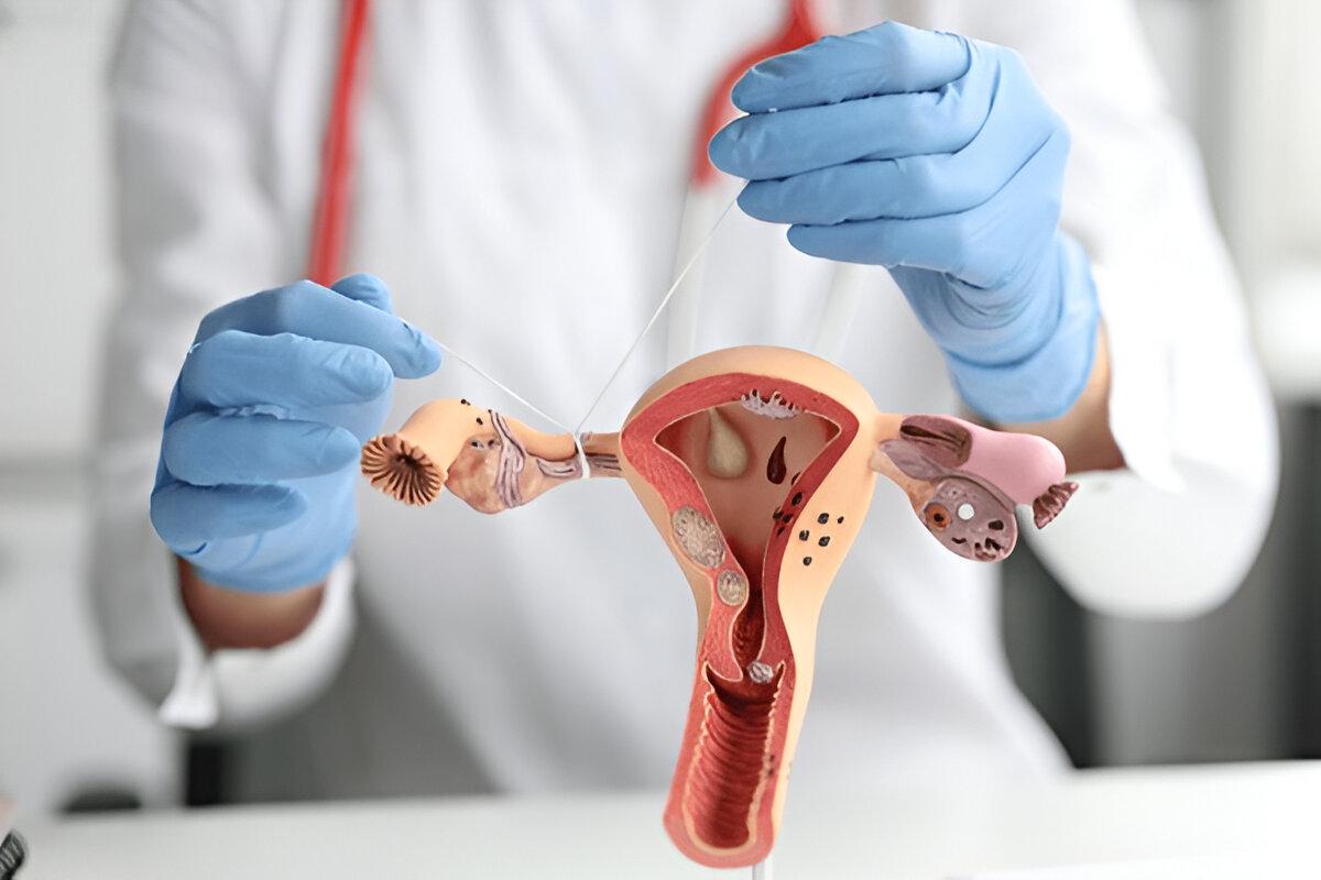 Blocked fallopian tubes and infertility treatment options including IVF